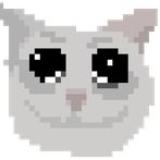 FlappyMishi