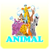 Animal Coloring.