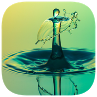 135 Photo Crosswords