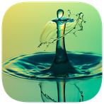 135 Photo Crosswords