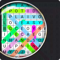 Word Search