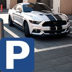 Mustang Parking Simulator