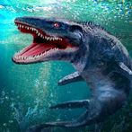 Underwater Fish Hunting