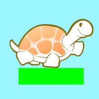 Fast Turtle