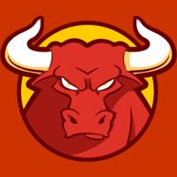 Running of the Bulls