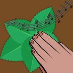 Frec menta - Fara numar, fara