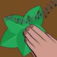 Frec menta - Fara numar, fara