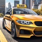 Expert Taxi Driver
