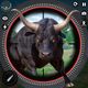 Wild Deer Animal Hunting Games