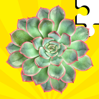 Succulent Plants Jigsaw Puzzle