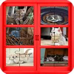 لعبة لغز تركيب صور القطط الجمي