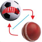 Combo:goalkeeper & cricket