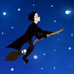 Flying Wizard - Save the Ginny