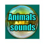 Animals sounds for kids