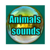 Animals sounds for kids