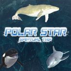 Polar Star - Spiritual Trip -