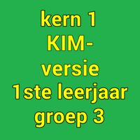 kern1kim