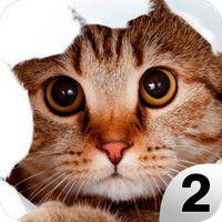 Find a Cat 2 - Hidden Object