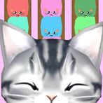 Cats are liquid sort puzzle