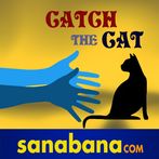 Catch The Cat