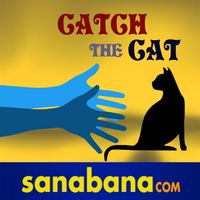 Catch The Cat
