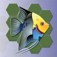 Block Hexa - Underwater Jigsaw