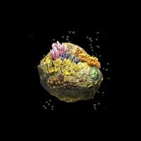 Coral Dream 3D Fantasy scene