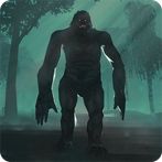 Bigfoot Hunting