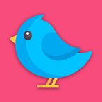 Mini Bird