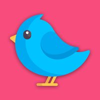 Mini Bird