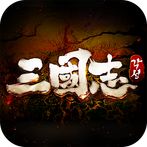 삼국지 각성