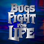 Bugs Fight For Life