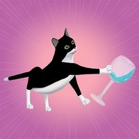 Catty Race
