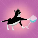 Catty Race