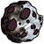 CFYZXIII