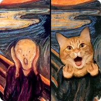 Cat! Spot the difference