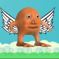 Flappy Meme