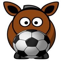 Donkey Football
