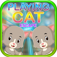 Kavi Escape Game - Playing Cat