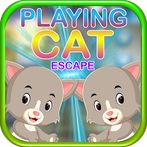 Kavi Escape Game - Playing Cat