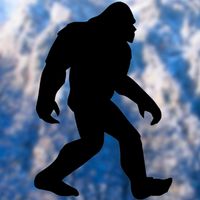 Йети : интерактивный квест