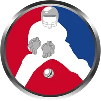 Mr. Keeper - WicketKeeper Fiel
