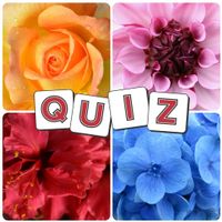 Trivia : Flower Star Quiz