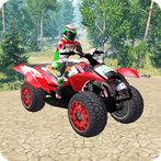 Offroad ATV Mountain Quad Bike