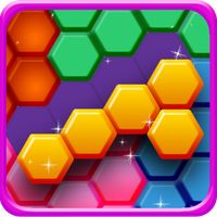 Hexa Puzzle Block Pro