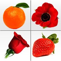 Memory Matching Game