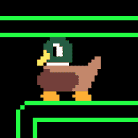 Duck Boy