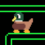 Duck Boy