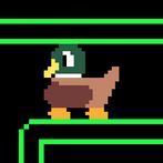 Duck Boy