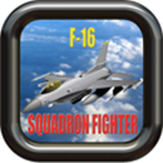 F-16 SQUADRON FIGHTER